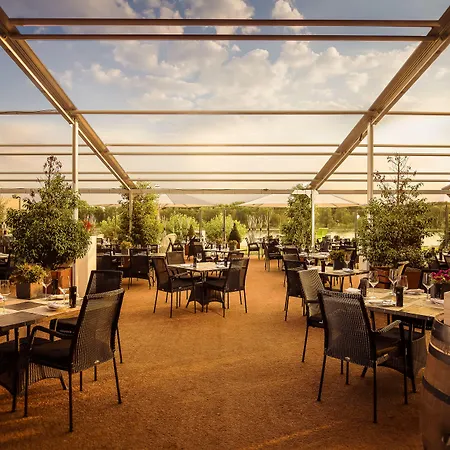 波恩卡梅哈大酒店 酒店