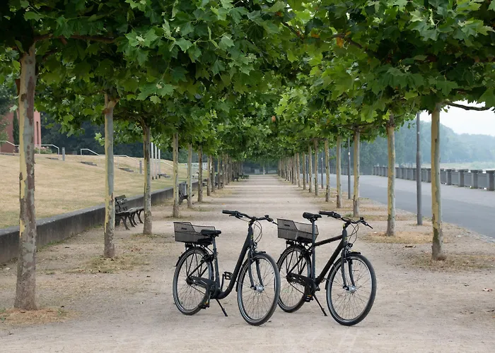 카메하 그랜드 본